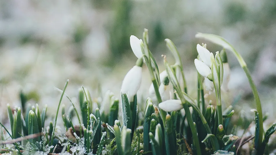 Фото: unsplash.com