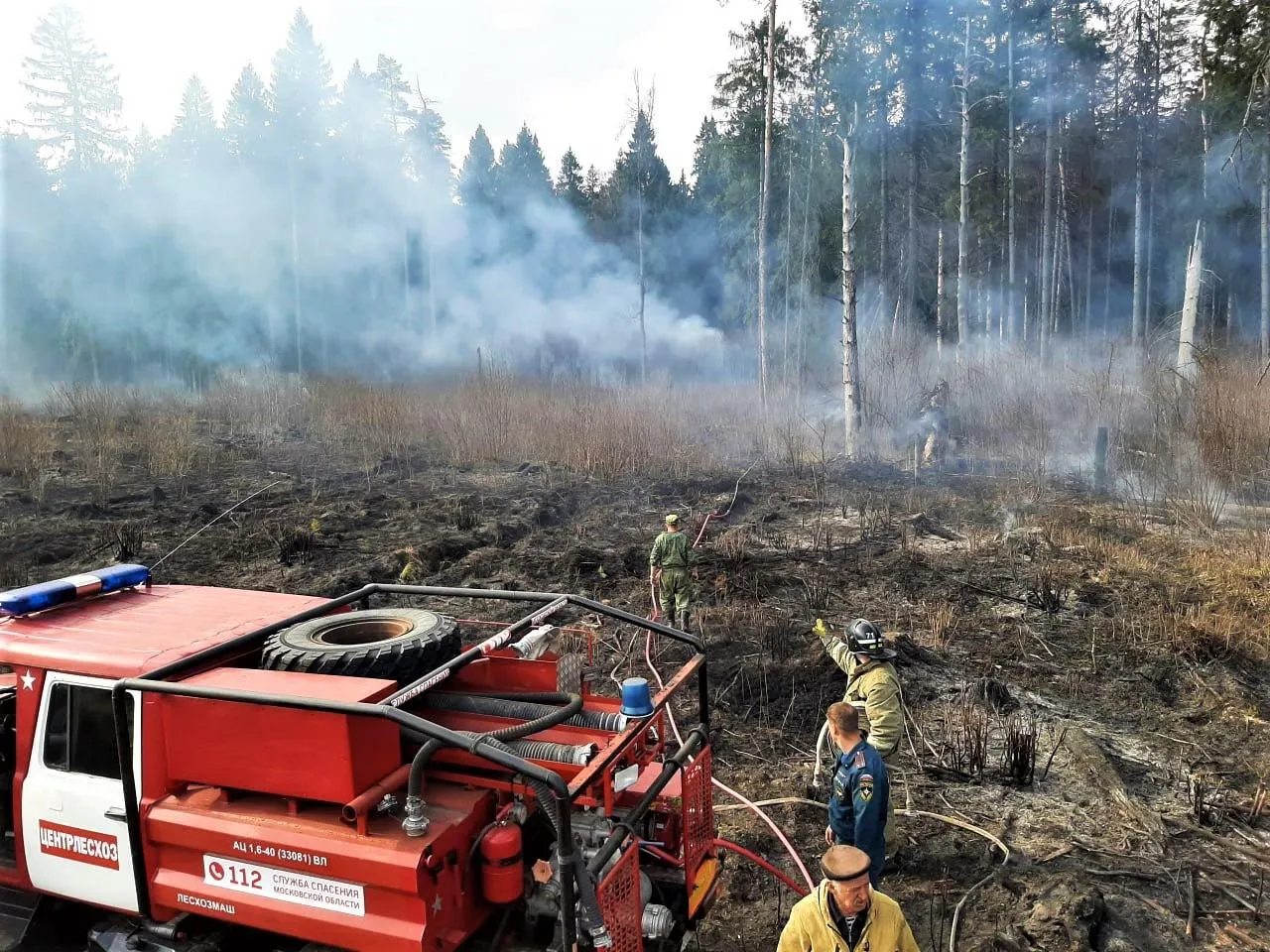 Фото: пресс-служба Комитета лесного хозяйства Московской области