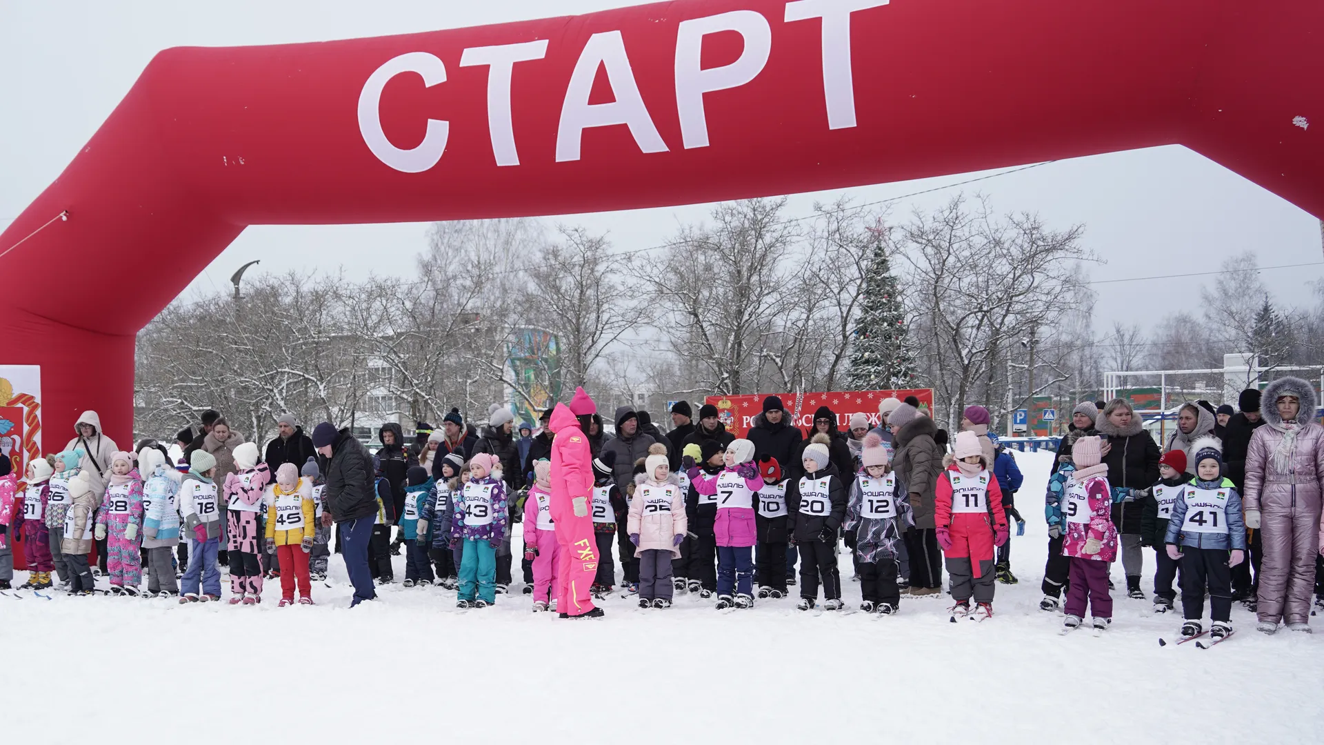 Фото: Анастасия Хренкова