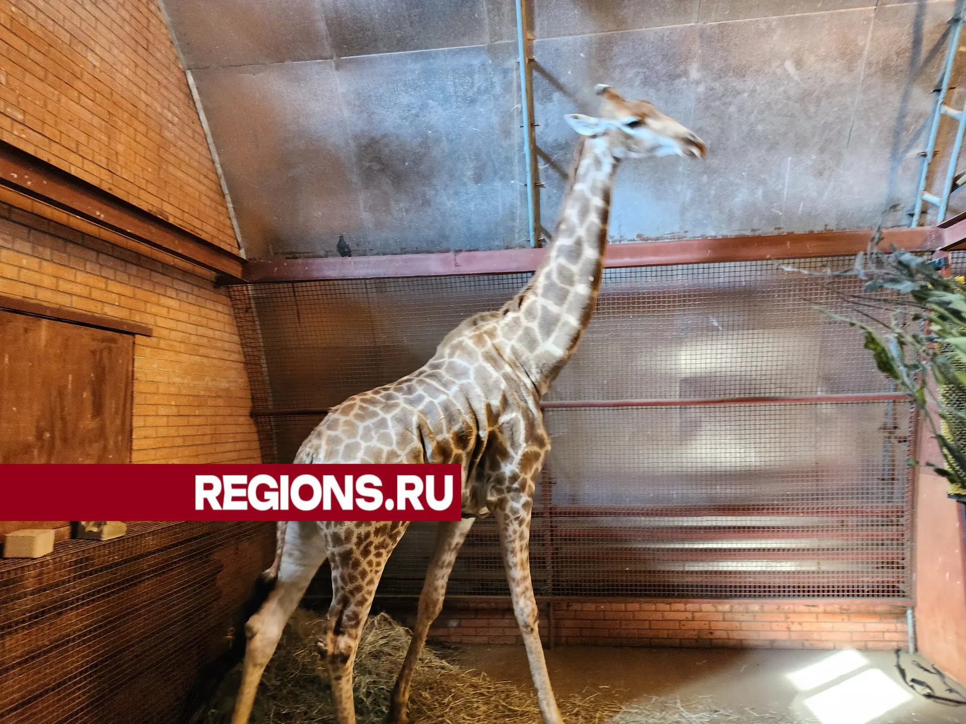 Фото: Светлана Борщева