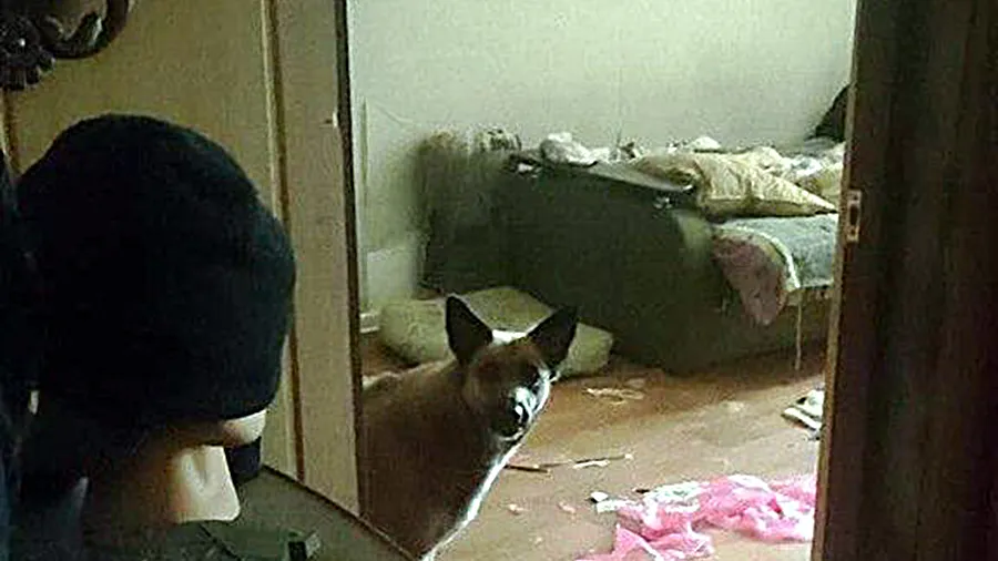 Фото: Иван Гара