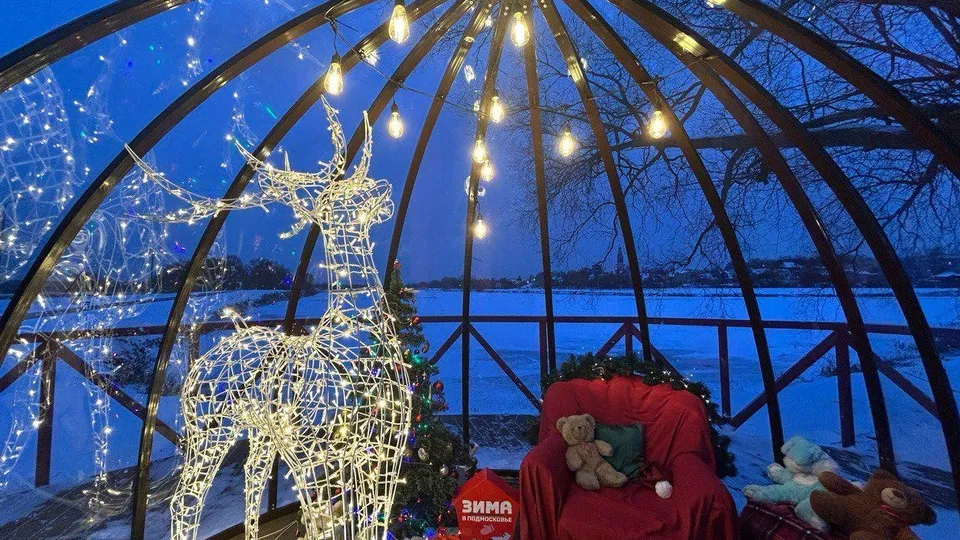 Фото: t.me/brolug