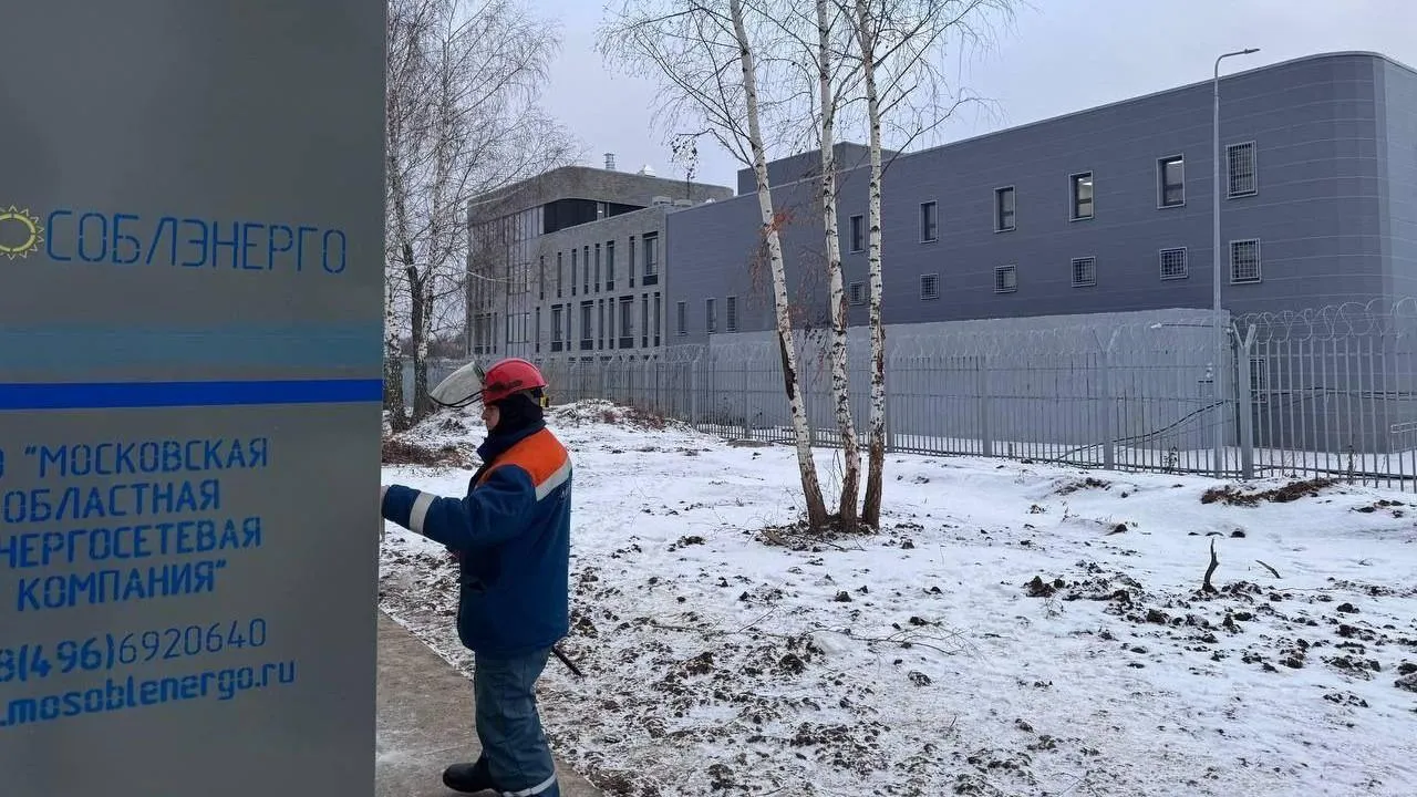 Почти 200 социально значимых объектов подключили к электросетям в 2024 году в Подмосковье