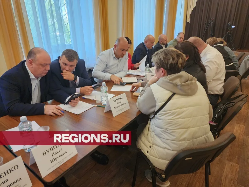 Фото: REGIONS/Валерия Исаева