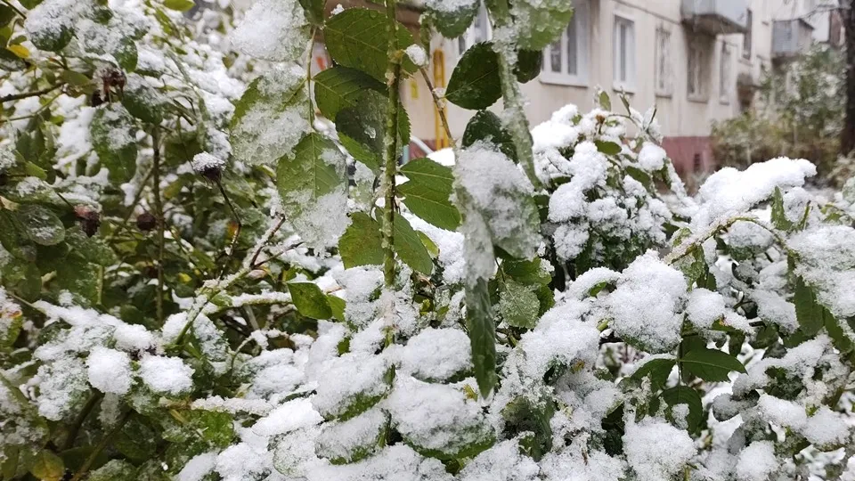 Фото: REGIONS/Алексей Селиверстов