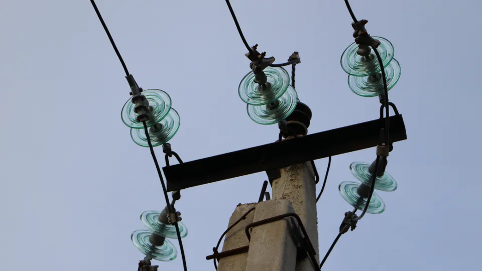 Фото: МедиаБанк Подмосковья/Ирина Калашникова