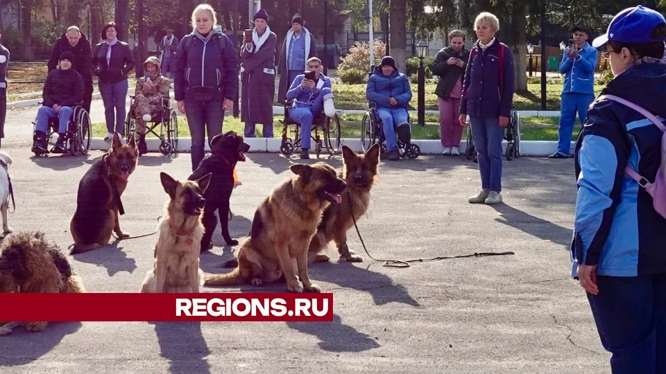 Фото: Дарья Леонова