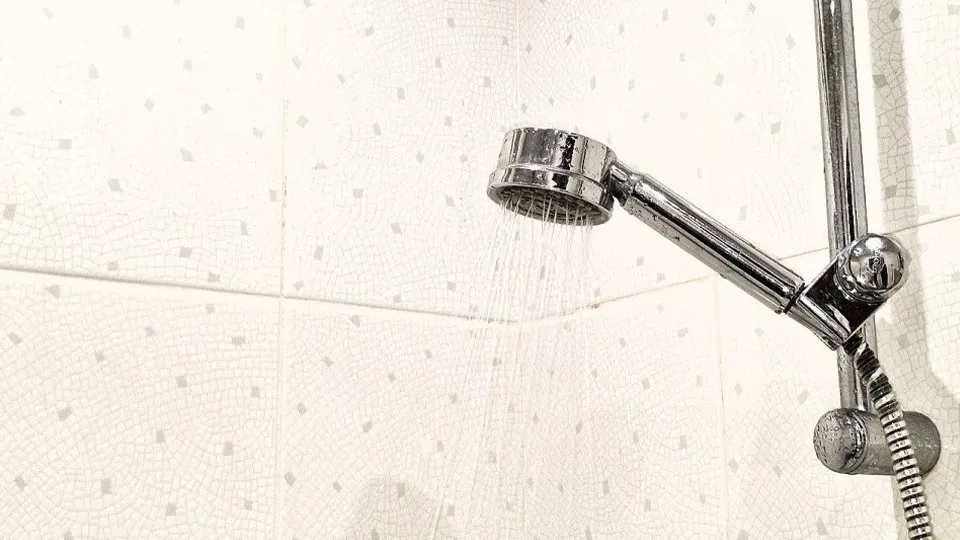 Фото: МедиаБанк Подмосковья/Иван Петрушин