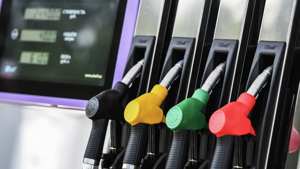 Фото: РИА Новости/Константин Михальчевский