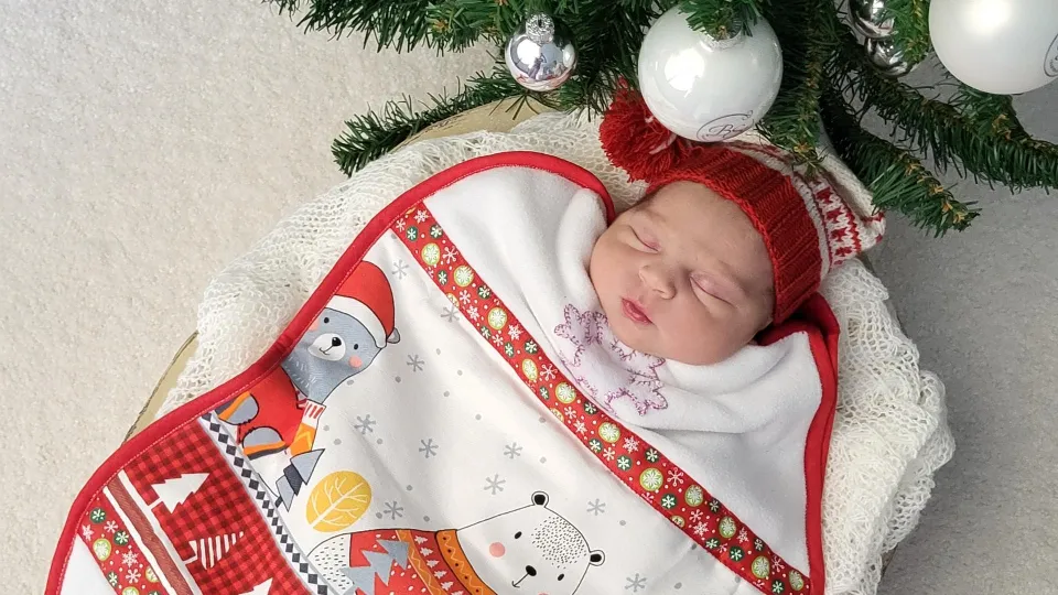 Фото: Пресс-служба Коломенского ПЦ