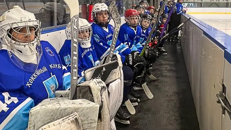 Фото: vk.com/Зарайский ледовый спортивный комплекс