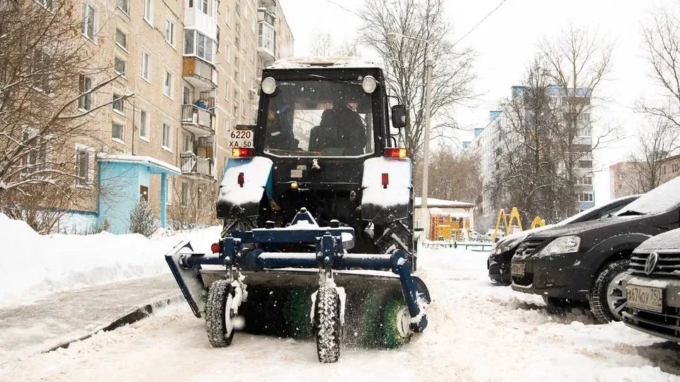 Фото: МЦУР городского округа Дмитровский