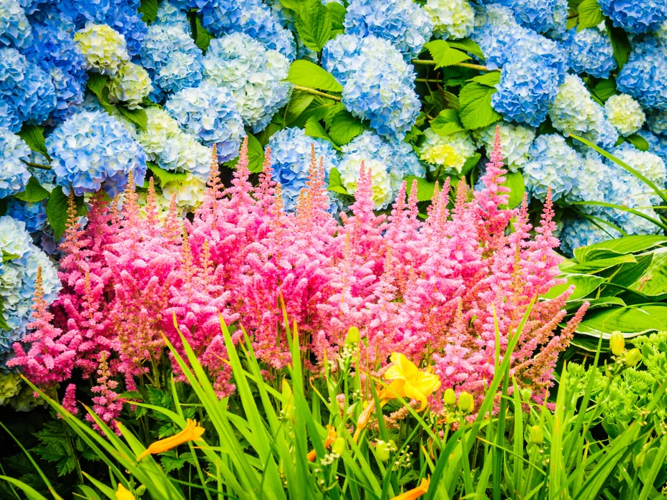 Фото: istockphoto.com/KenWiedemann