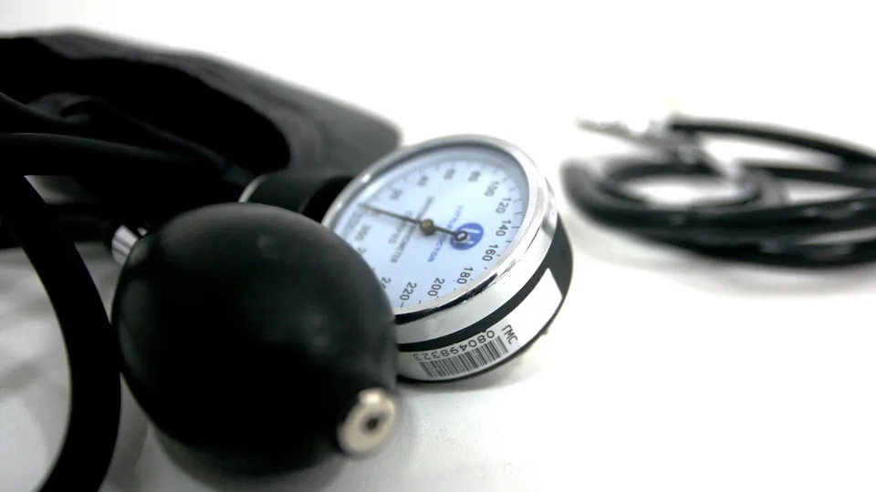 Фото: пресс-служба администрации г. о. Кашира