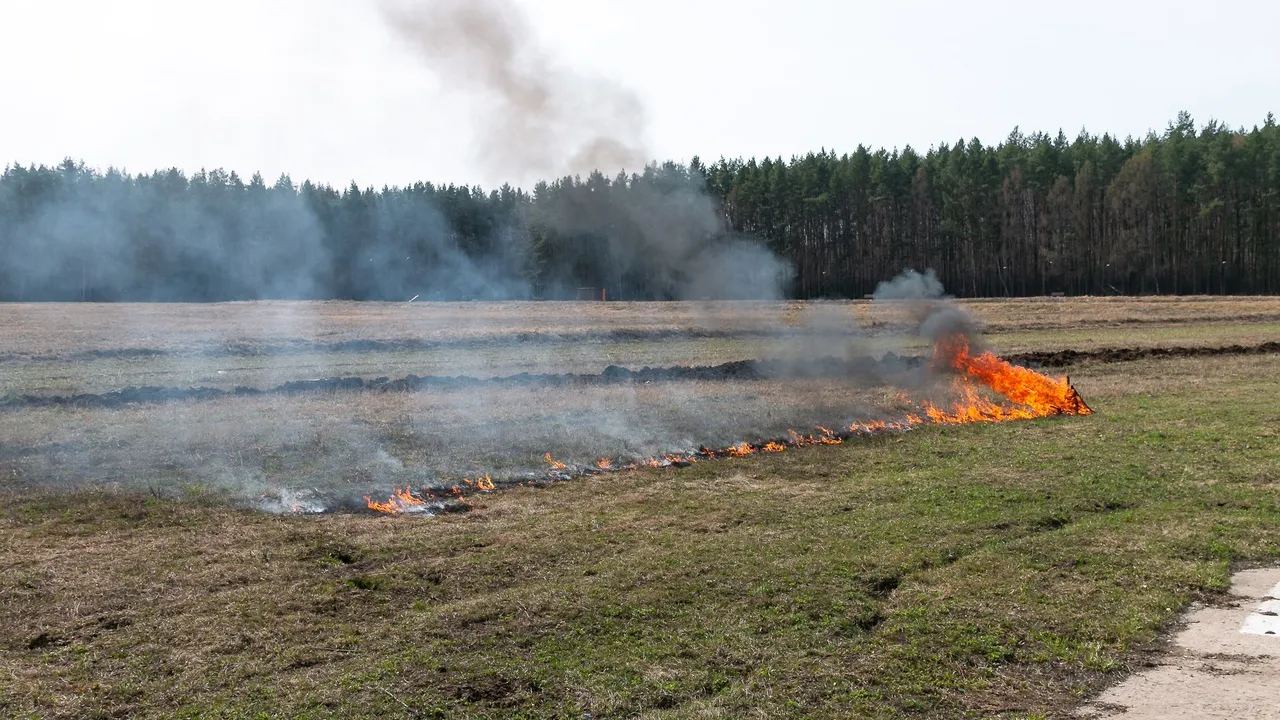 Фото: Евгений Мазепов