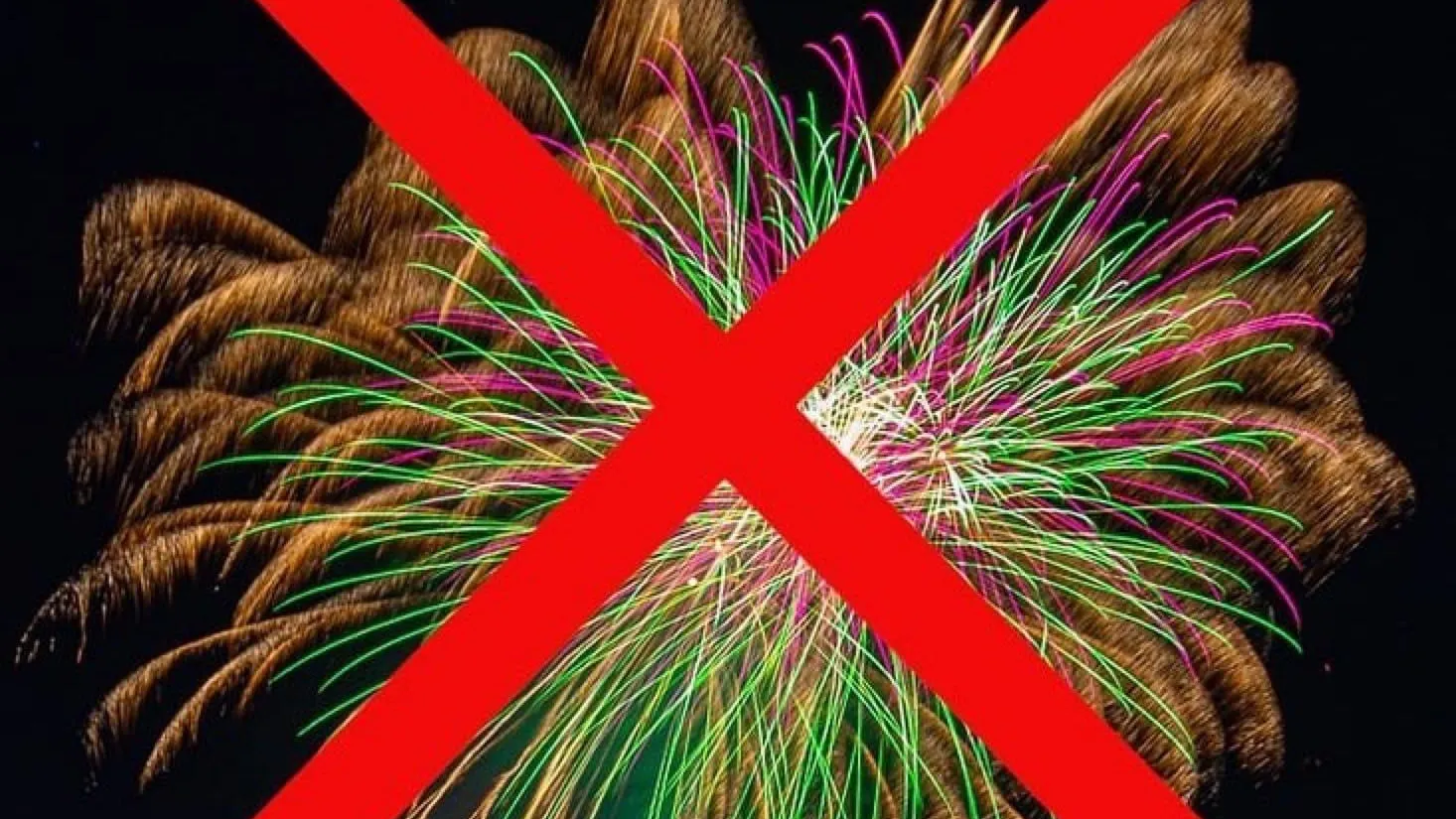 Фото: moskvichi.net