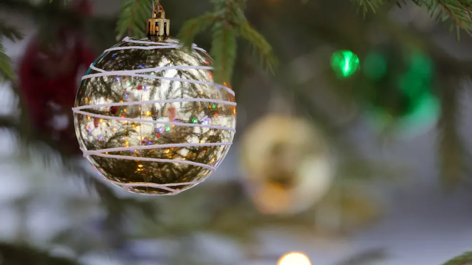 Фото: музей-заповедник А. П. Чехова «Мелихово»