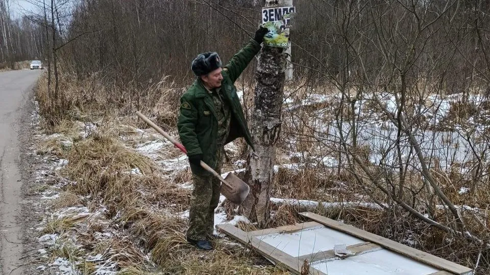 Фото: Комитет лесного хозяйства Московской области