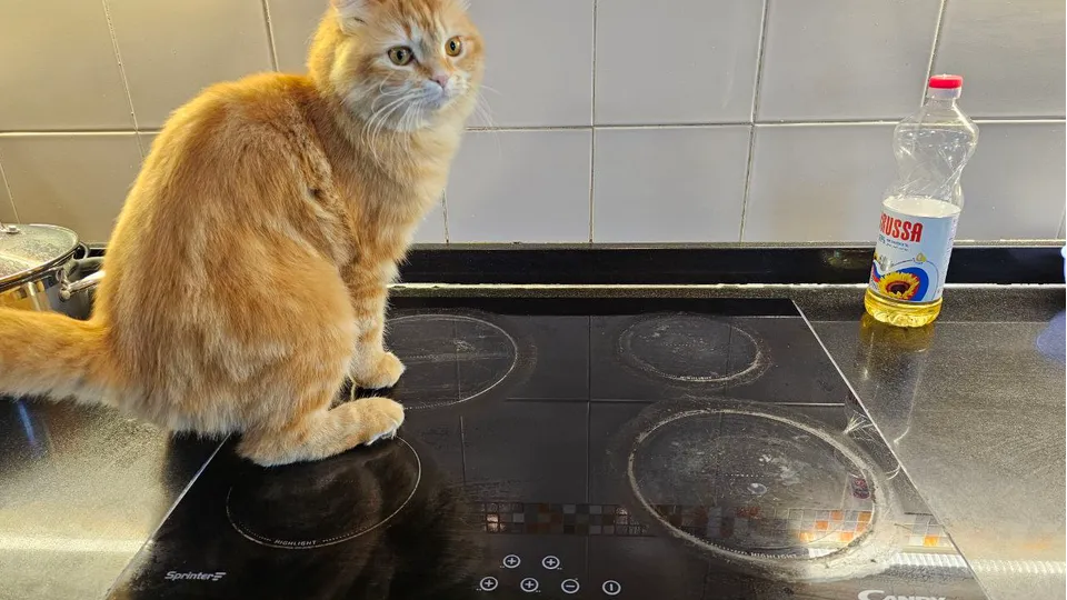 Фото: REGIONS/Наталия Надточая