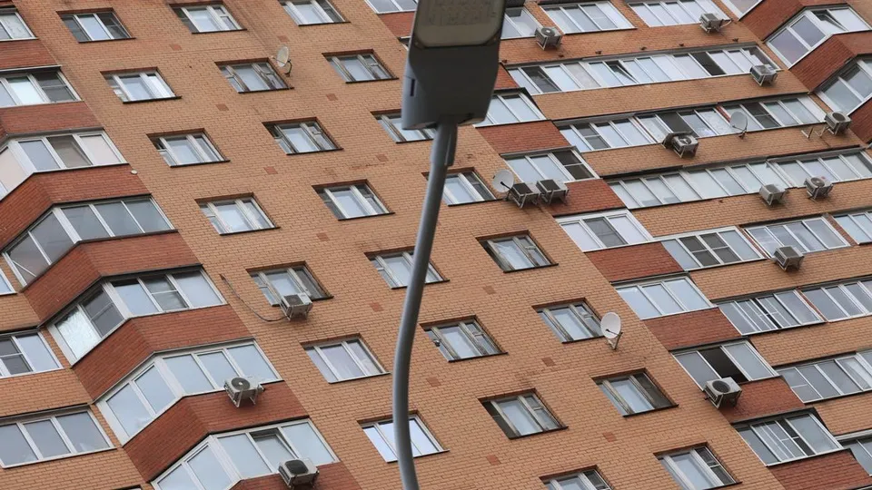 Фото: Министерство благоустройства Московской области