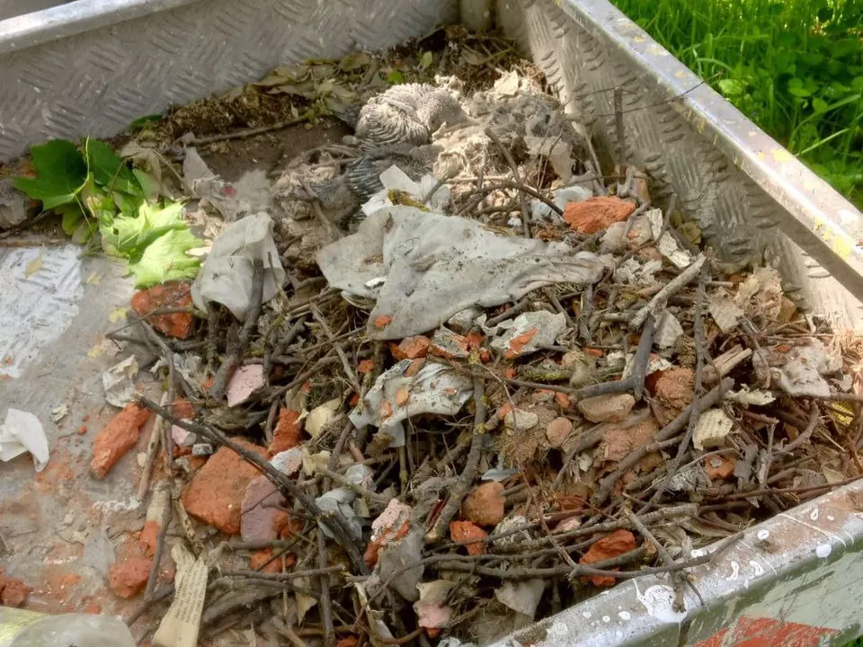 Фото: ООО «ДГХ»