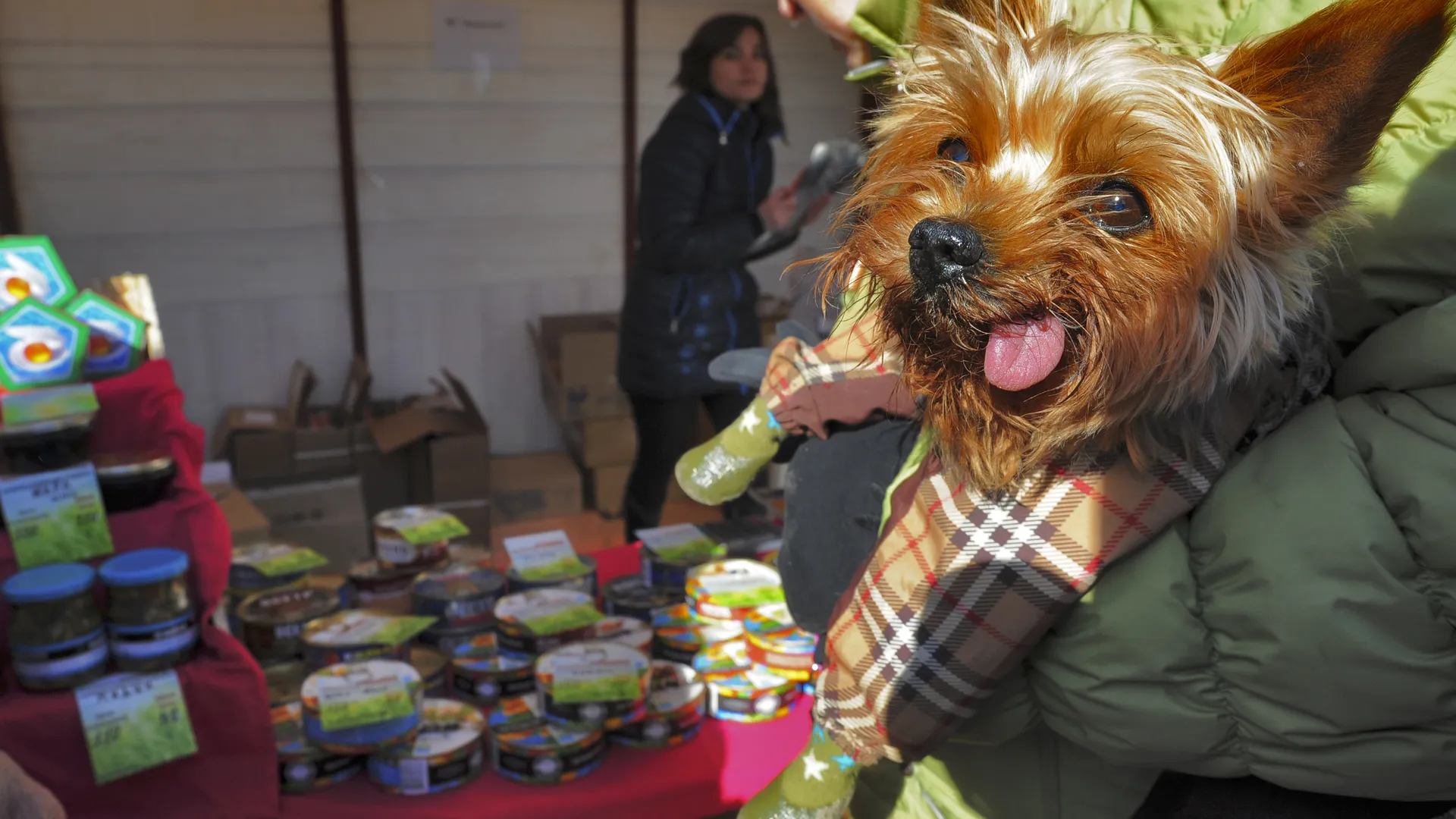 медиасток.рф