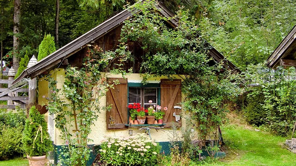 Фото: pxhere.com