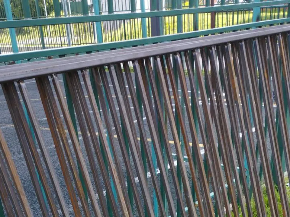 Фото: администрация городского округа Люберцы