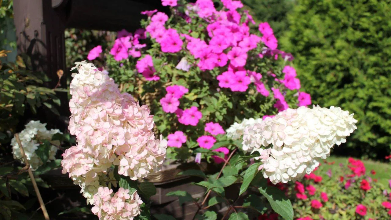 REGIONS/Илья Попов