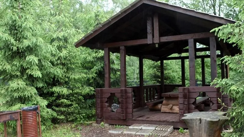 Тринадцать пикниковых зон открыли в Подмосковье по программе губернатора