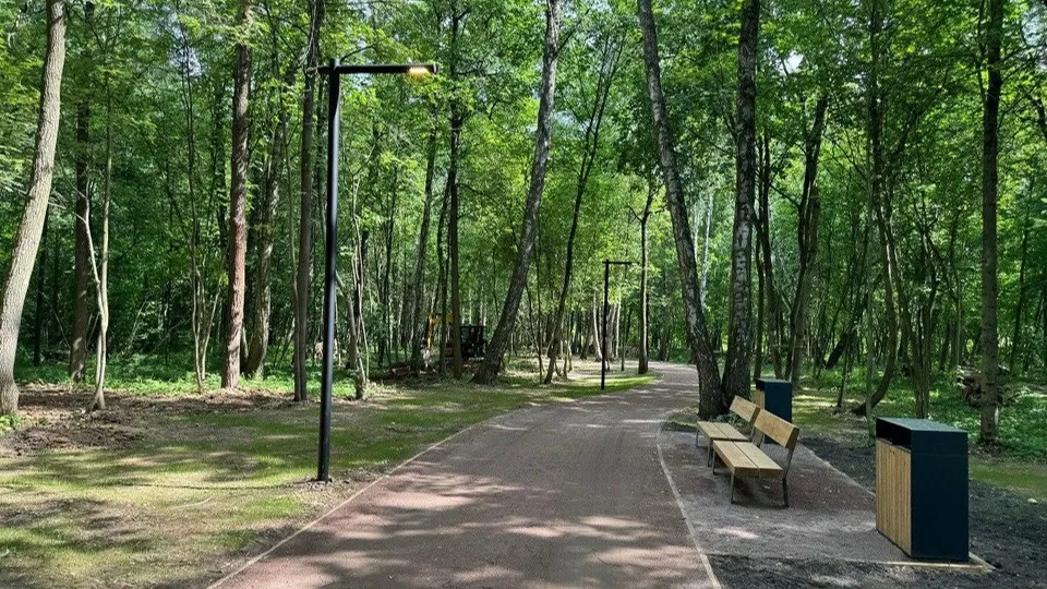 Фото: Минблагоустройства Московской области