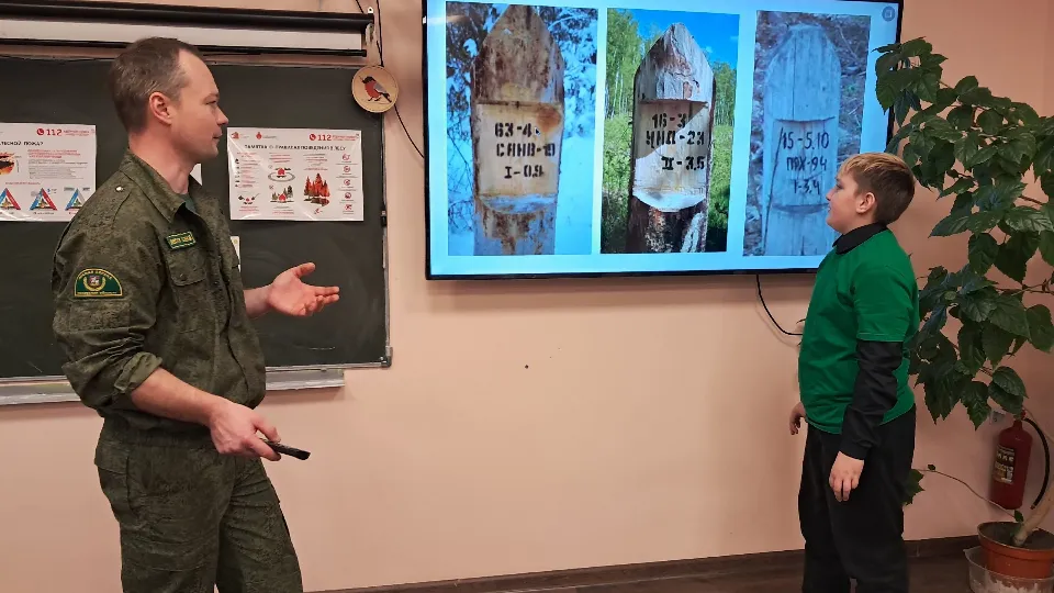 Фото: Волоколамское лесничество