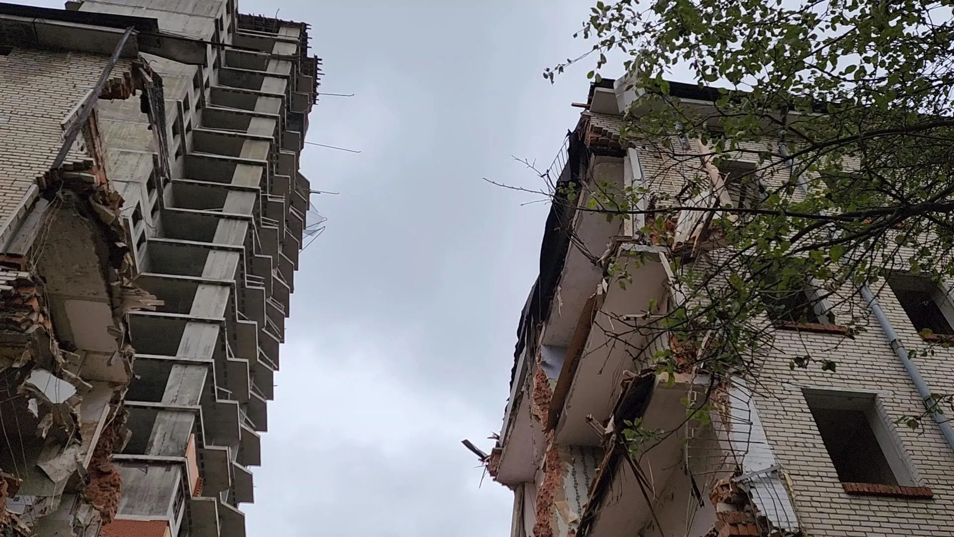 Сморкалов Никита