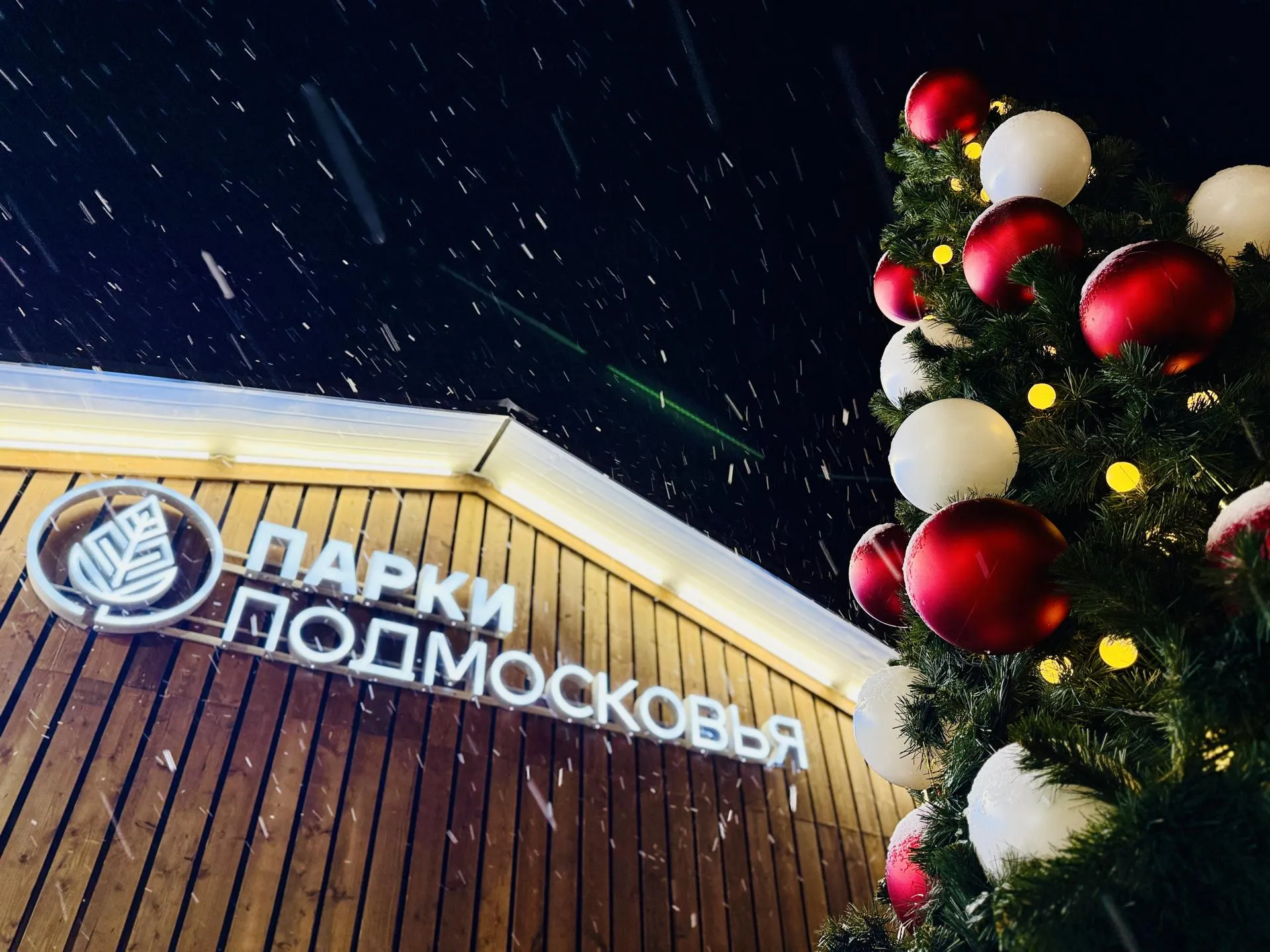 Фото: МедиаБанк Подмосковья/Ольга Стаферова