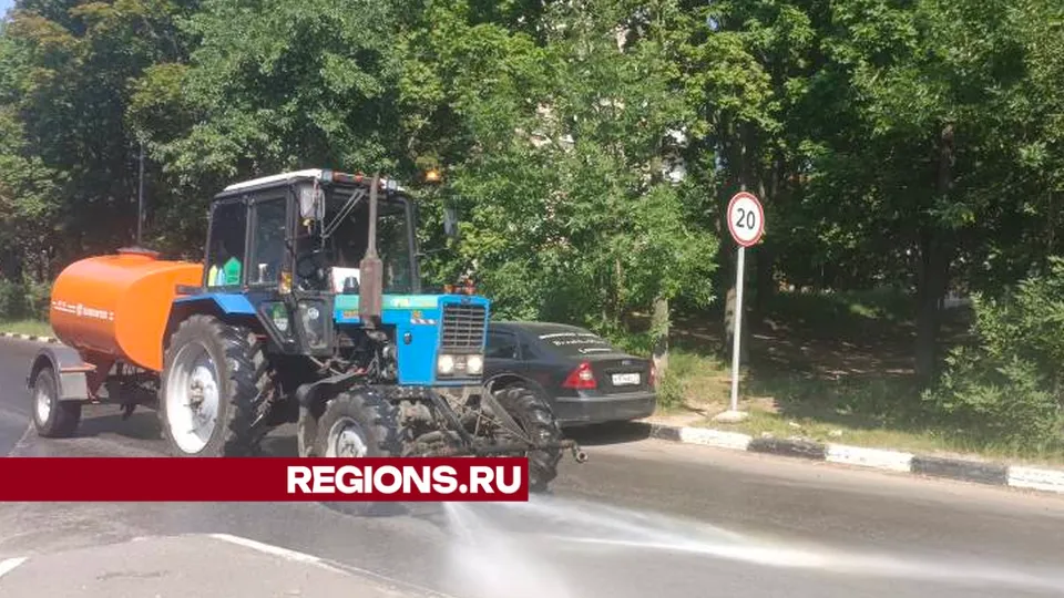 Фото: Алексей Грызлов