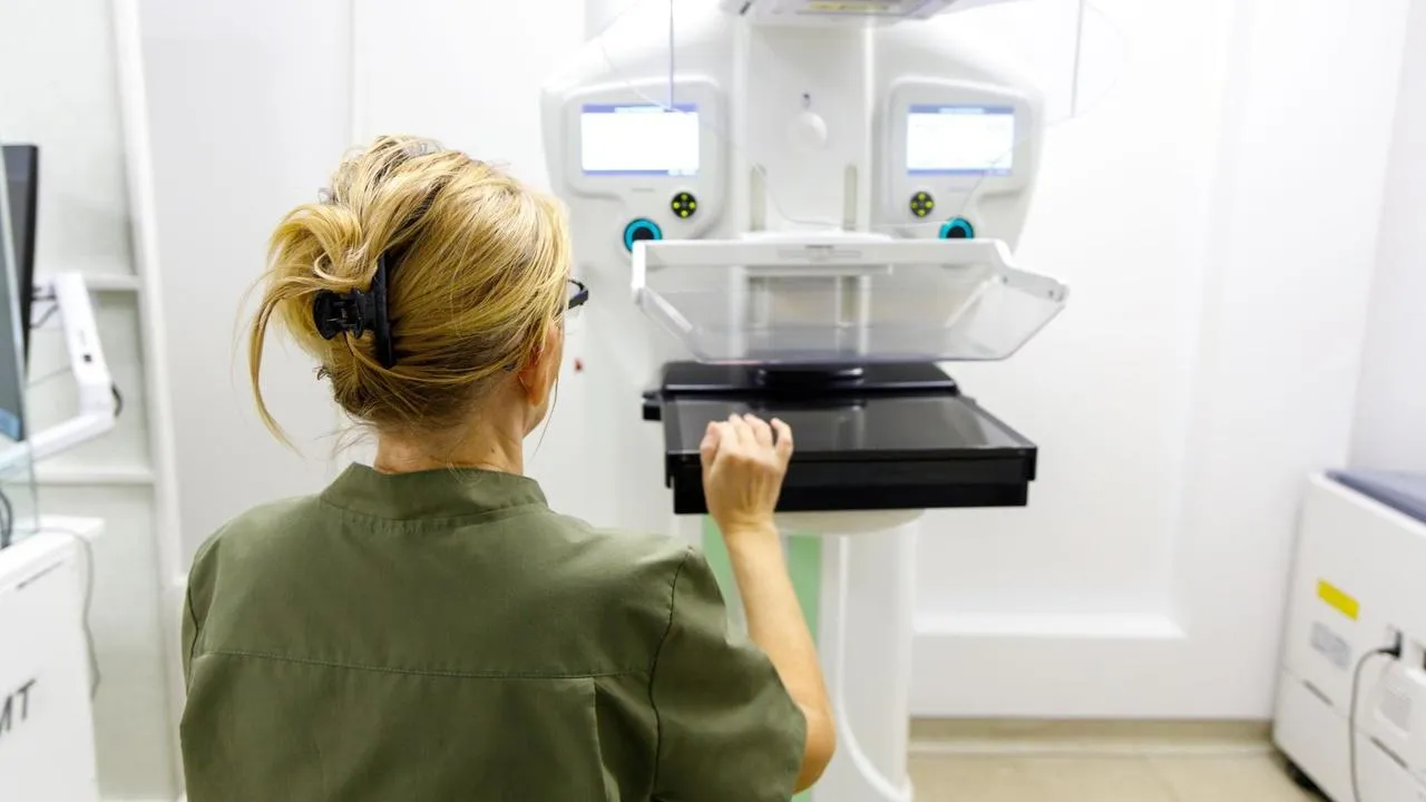 МедиаБанк Подмосковья/Наталья Лымарь