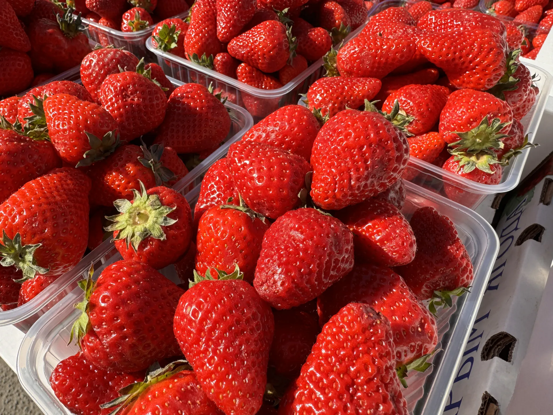 Фото: Мария Шматкова