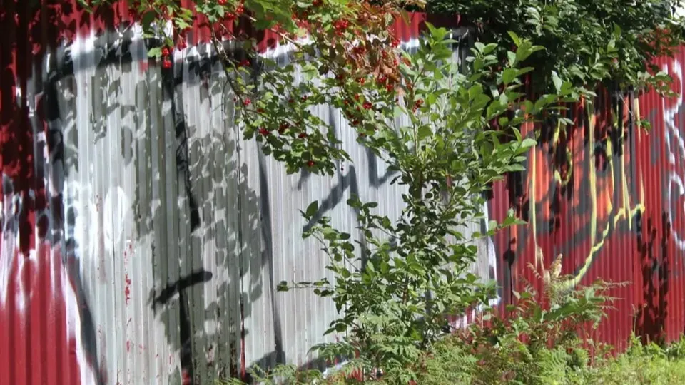 Фото: REGIONS/Анастасия Широкая