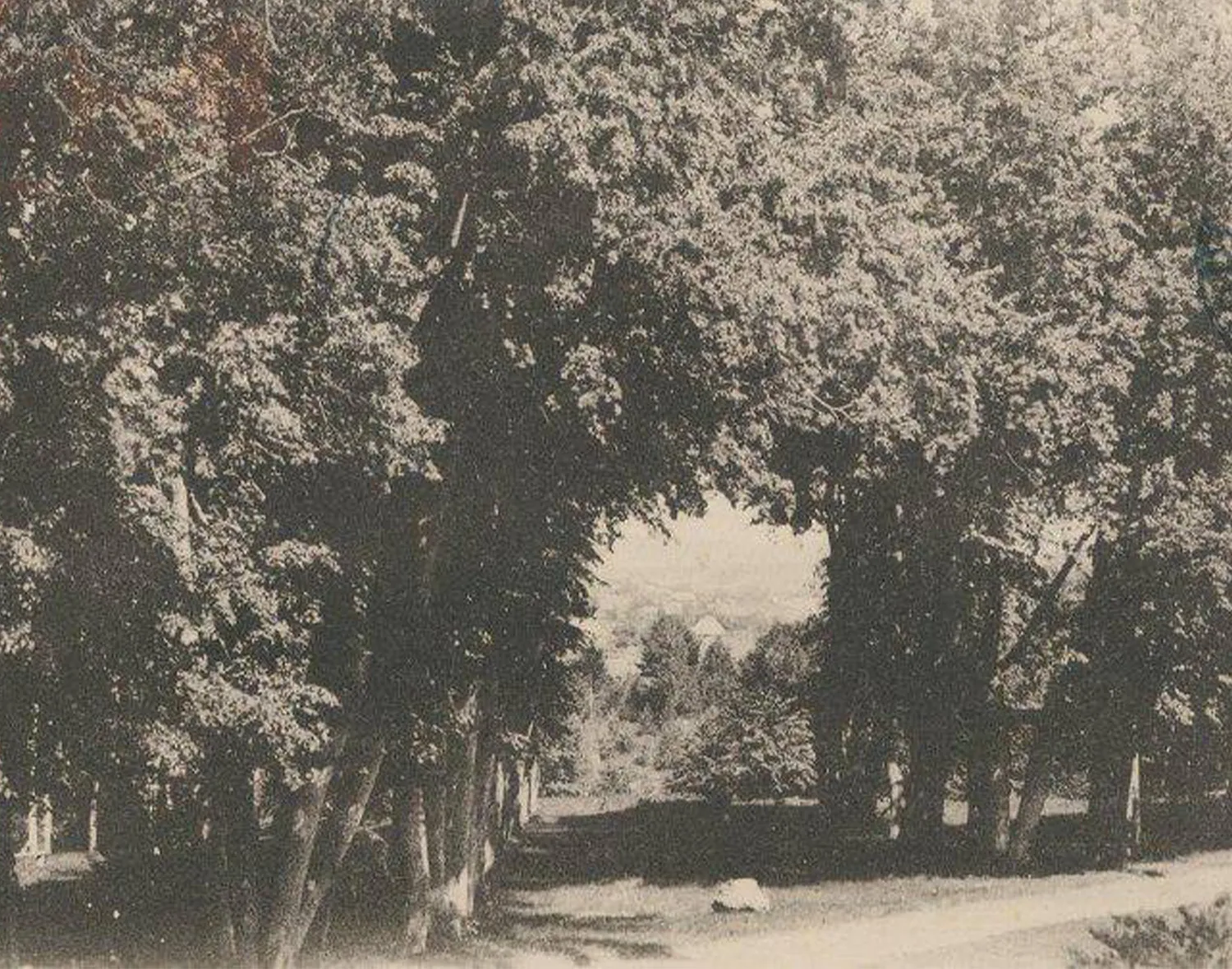 Фото: Госкаталог музейного фонда РФ