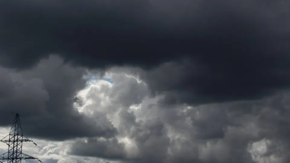 Фото: REGIONS/Анастасия Широкая