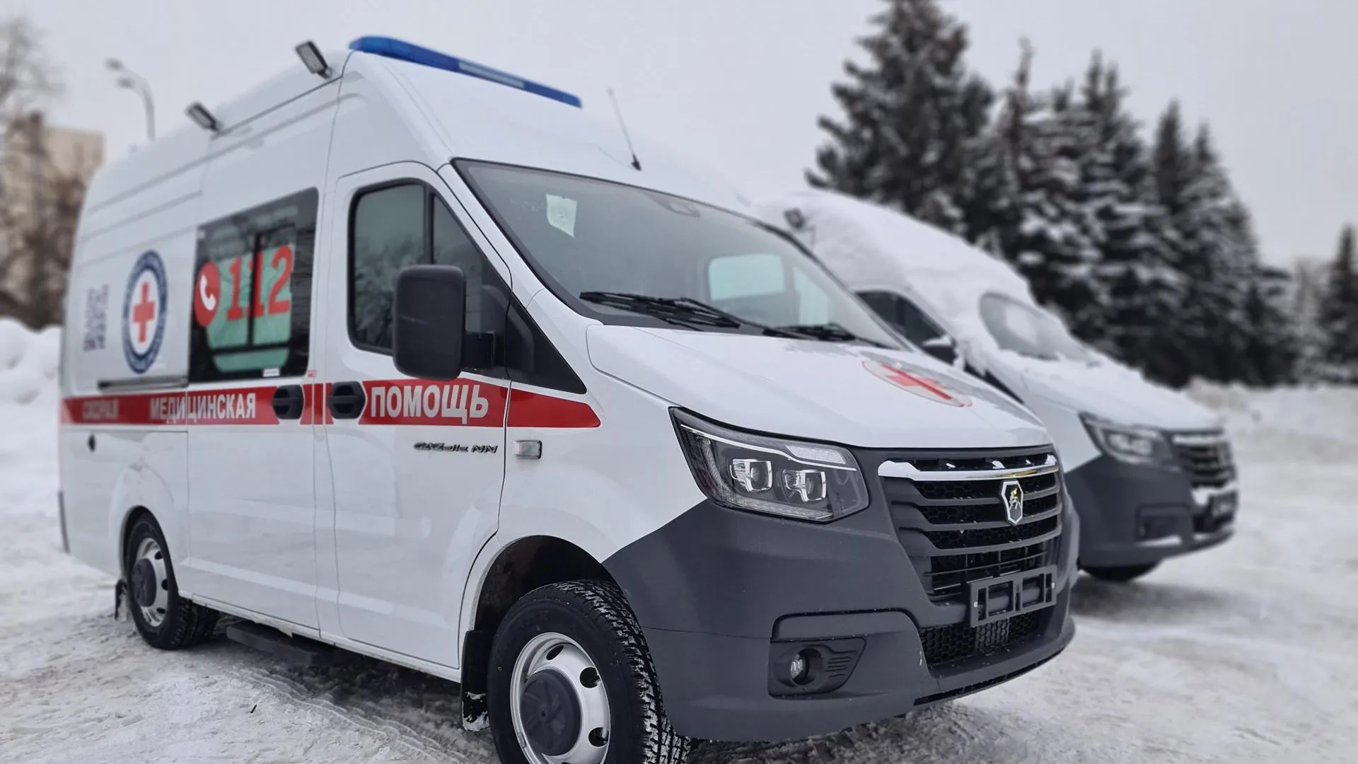 Фото: пресс-служба губернатора и правительства Московской области