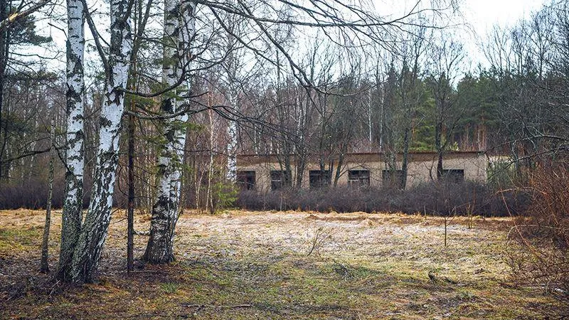 голая в лагере 