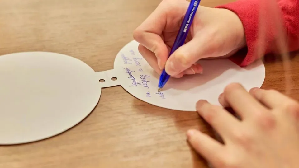 Фото: пресс-служба администрации м.о. Чехов