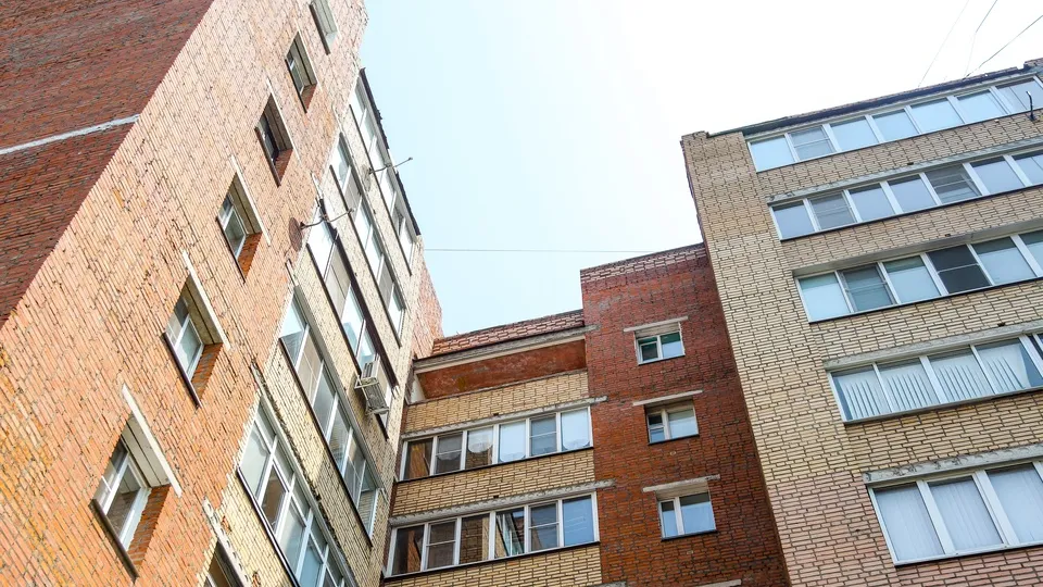 Фото: пресс-служба администрации г.о. Кашира