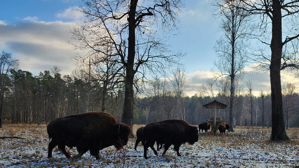 Фото: МедиаБанк Подмосковья/Александр Степушкин
