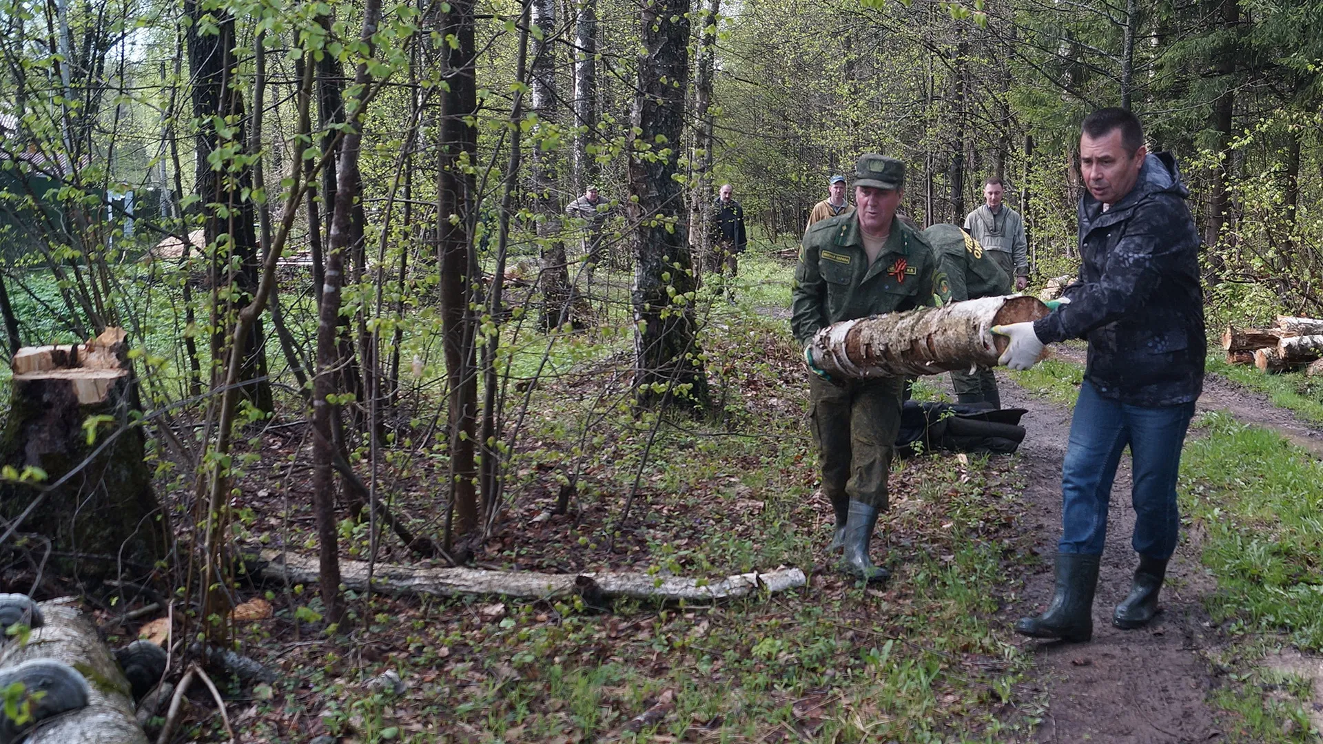Фото: Лесничество «Русский лес»