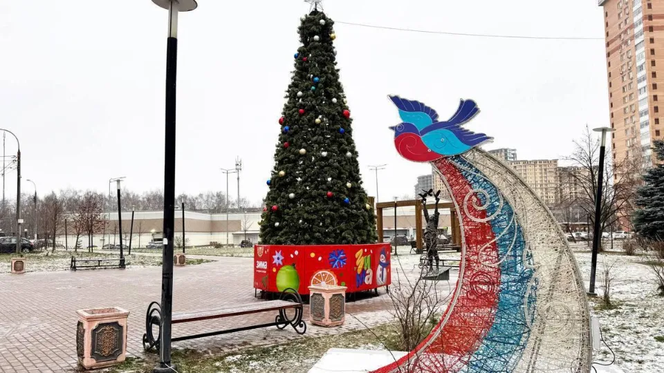 Фото: пресс-служба администрации г.о. Подольск