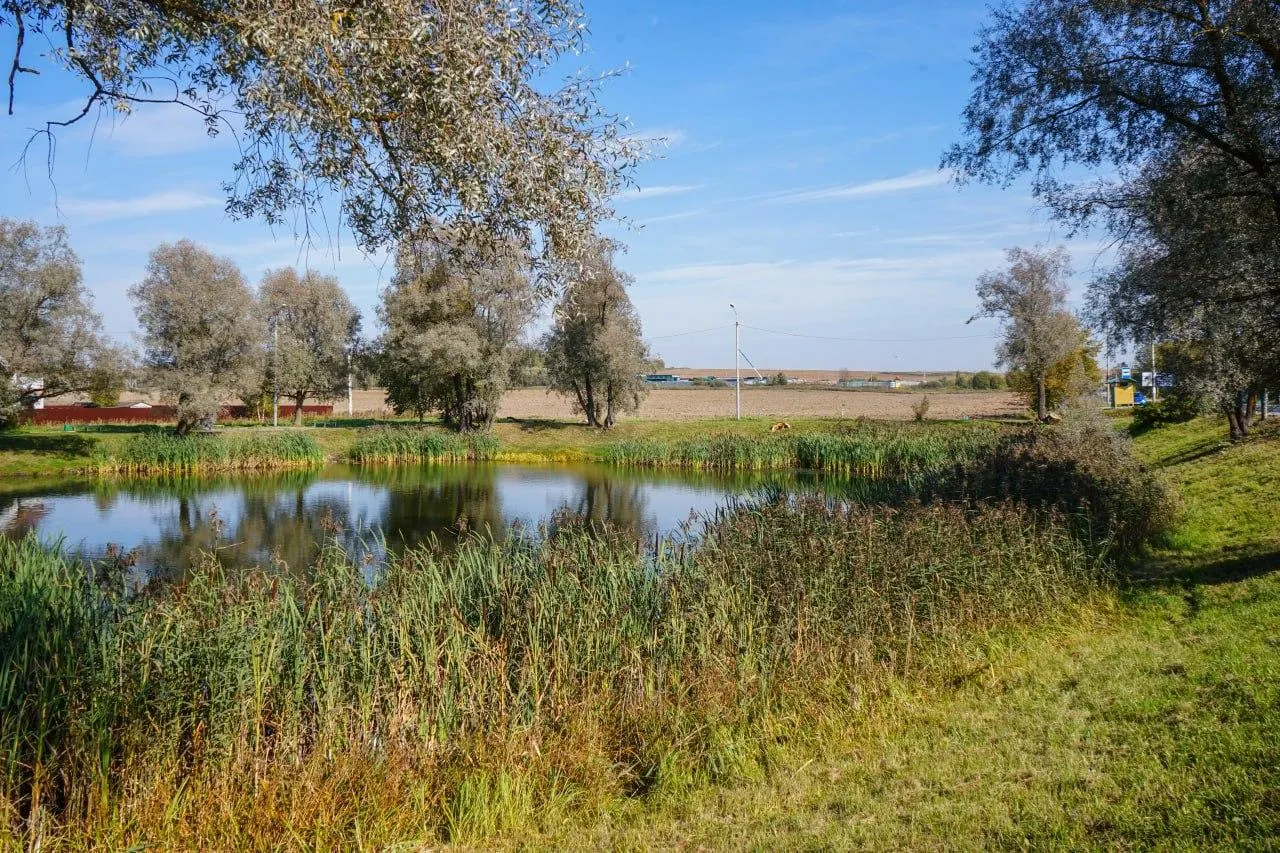 Администрация Сергиево-Посадского городского округа