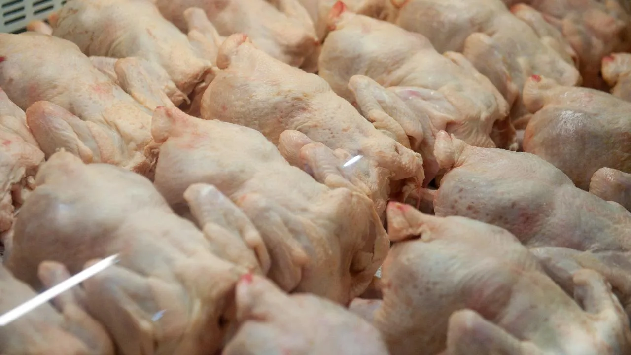 медиасток.рф