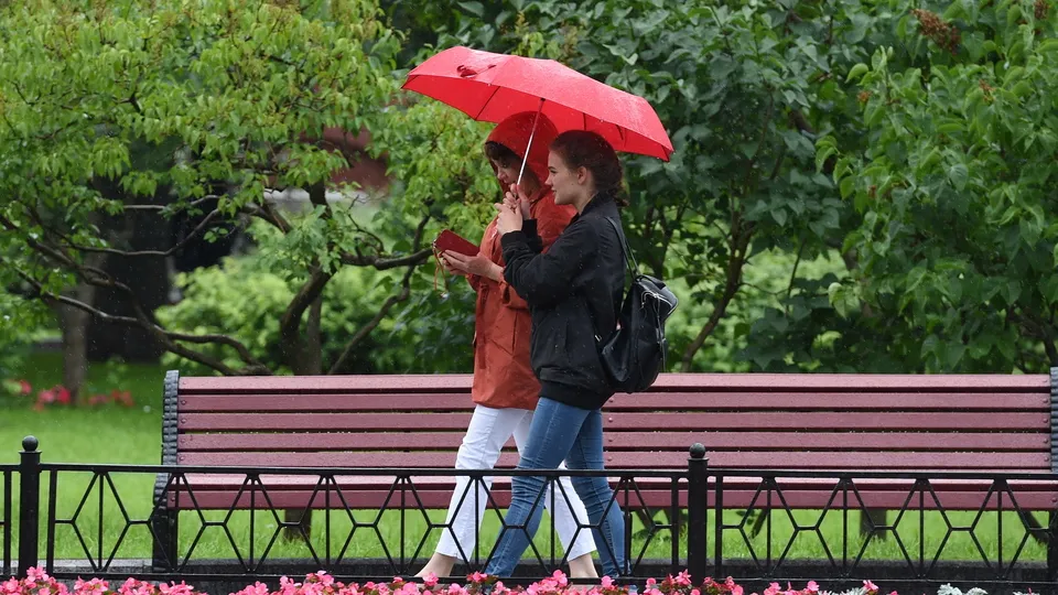 Фото: медиасток.рф